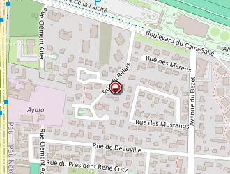 Carte de Dédale à Pau