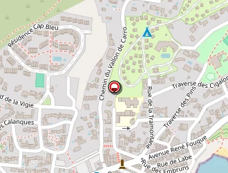 Carte de Marzuoli Rémi à Martigues