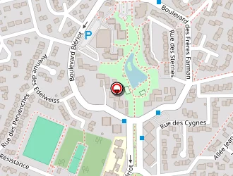 Carte de Garage Du Perlic à Lons