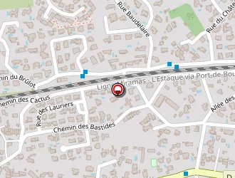 Carte de Lavigne à Sausset-les-pins