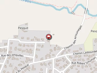 Carte de Wilhelm Francis à Lescar