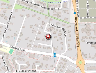 Carte de Sibille Georges à Lons