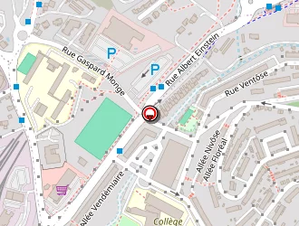 Carte de Anselmi Jean-michel à Marseille