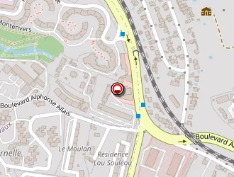 Carte de Laplane Ingrid à Marseille