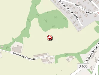 Carte de Olivier Casssou à Morlaàs