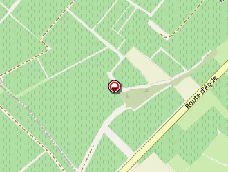 Carte de Saez Virginie à Marseillan