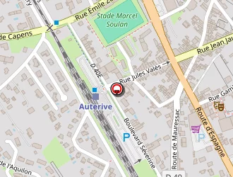 Carte de Brajko Michel à Auterive