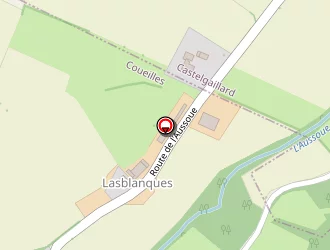 Carte de Mairie à Coueilles