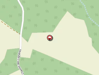 Carte de Verrier Patrick à Saint-papoul