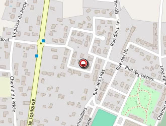 Carte de Stade J. Rougé à Noé