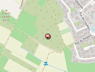 Carte de Cazelle Philippe à Maraussan