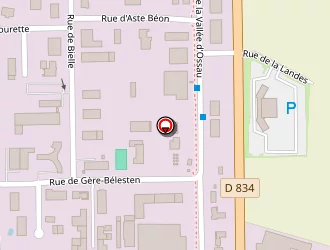 Carte de Boudarel Alexandre à Serres-castet