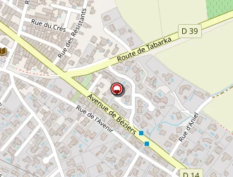 Carte de Selles David à Maraussan