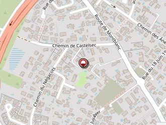 Carte de Shiny à Bessan