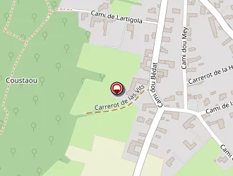 Carte de Solanet Jean-robert à Saint-lézer