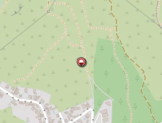 Carte de De Ligniville Nicolas à Marseille