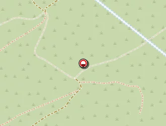 Carte de Mimmo Roxane à Rove (le)