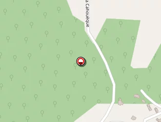 Carte de Moisuc Oana à Montégut-arros