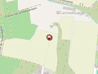 Carte de Belda Raymond à Maraussan