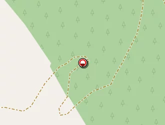 Carte de Cocotte à Martigues