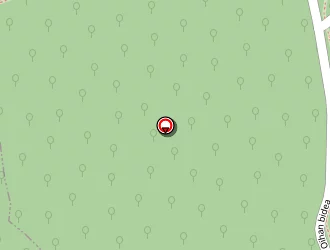 Carte de Ustaritz Pierre à Ustaritz