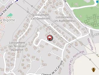 Carte de Schiavone Stéphane à Marseille