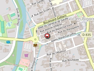 Carte de Intermarché à Vic-en-bigorre