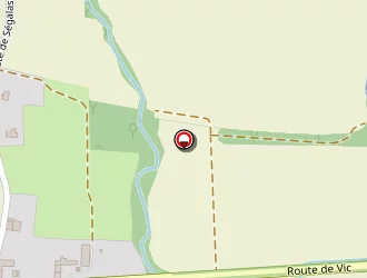 Carte de Sas Sarreméjean à Rabastens-de-bigorre