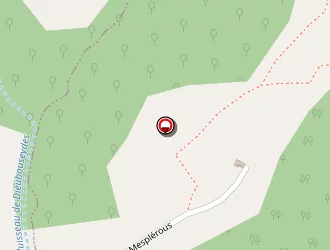 Carte de Baldoureaux Hervé à Denguin