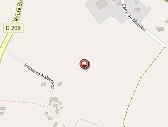 Carte de Cazaban Jean-michel à Uzein