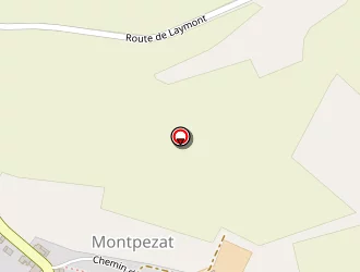 Carte de Limouzin (scea) à Montpézat