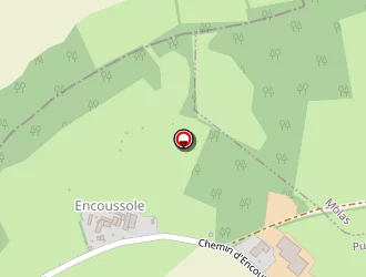 Carte de Perez Bruno à Puymaurin