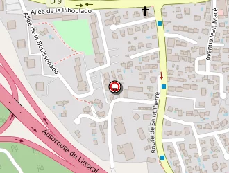 Carte de Voilliard Jeremie à Martigues