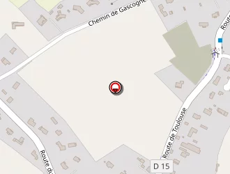 Carte de Caleor à Lavernose-lacasse