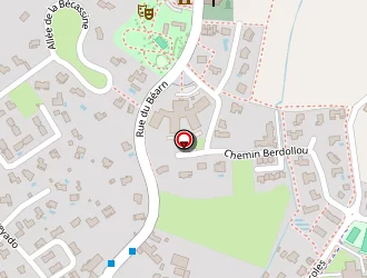 Carte de Bonnin Pierrick à Sauvagnon