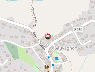 Carte de Centre Festif à Sauvagnon