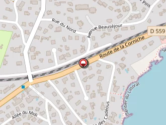 Carte de Hamyani Morad à Saint-raphaël