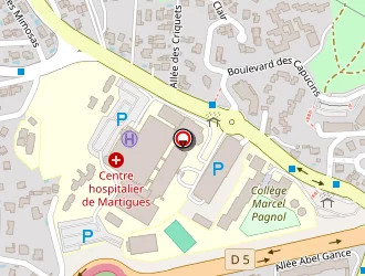 Carte de Centre Hospitalier De Martigues (hopital Service De Soins) à Martigues