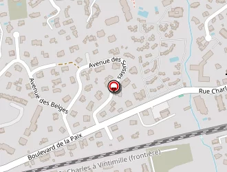 Carte de Slim Peinture à Saint-raphaël