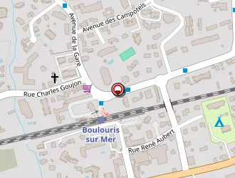 Carte de Boulouris Optic à Saint-raphaël