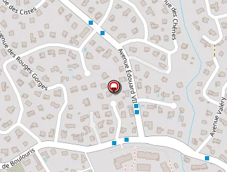 Carte de Melone Albino à Saint-raphaël