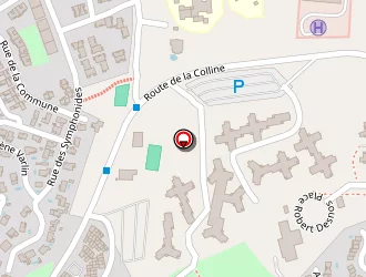 Carte de Taxi Cr à Martigues