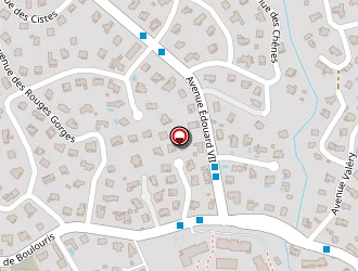 Carte de Benaich Michel à Saint-raphaël