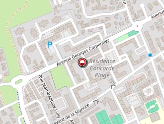 Carte de Derouiche Younès à Marignane