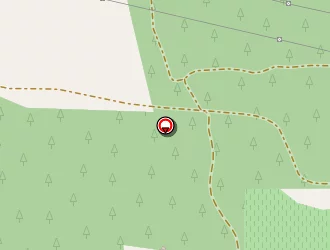 Carte de Profil+ Massa Pneus Adhérent à Port-de-bouc