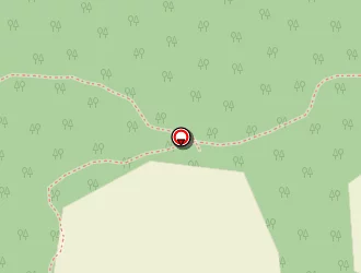 Carte de Hafsi Driss à Sorèze