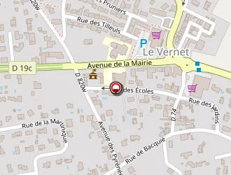 Carte de Pelletier à Vernet