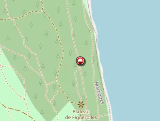 Carte de Françoise Serpentier à Martigues