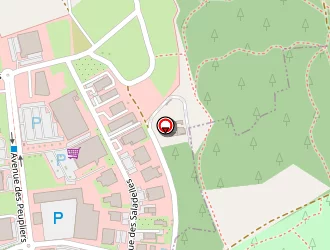 Carte de Sas Technic Elec à Saint-mitre-les-remparts