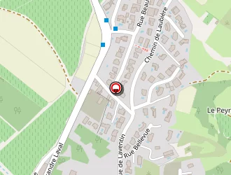 Carte de Dieude Michel à Castelnau-de-guers